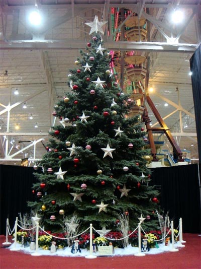 Cleveland Christmas Tree