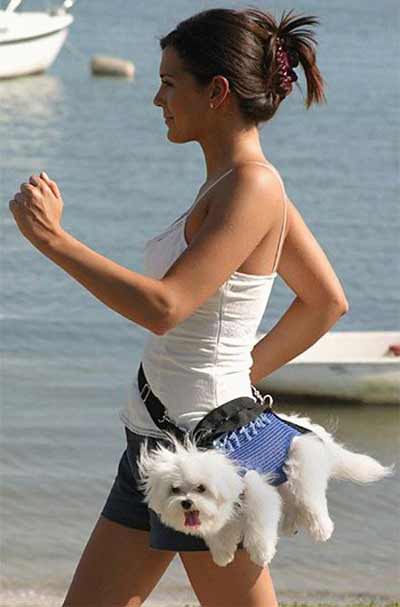 Woman carrying dog in purse