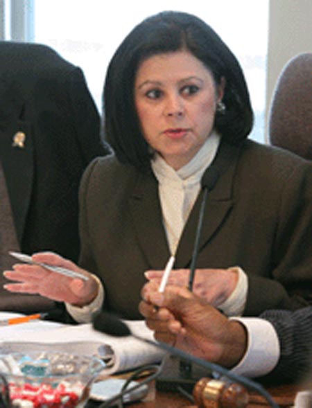 Councl woman Dona Brady leads a meeting