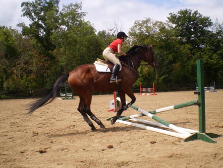Karen Ferreri does a jumping demonstration on her horse, Shock, at the Valley Riding Horse Festival on August 23, 2009.