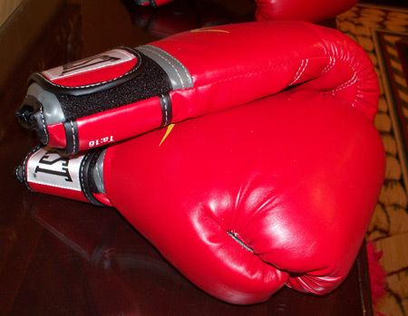Boxing gloves at Go Red for Women Cleveland 2010