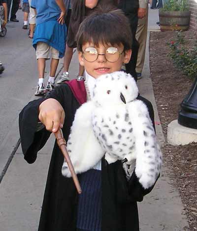 Harry Potter Fest in Hudson - Harry Potter owl