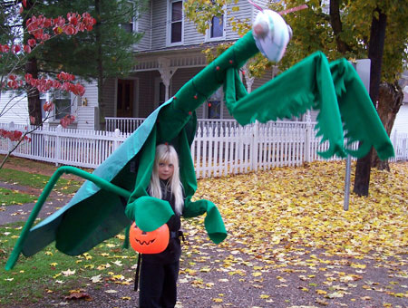 Halloween costume - praying mantis