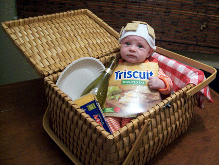 Halloween costume - Triscuit baby