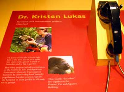 Dr Kristen Lukas display